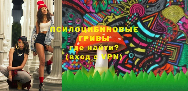 не бодяженный Алзамай