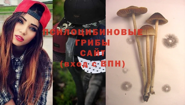 не бодяженный Алзамай