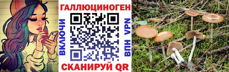 Галлюциногенные грибы Magic Shrooms kraken tor Зарайск